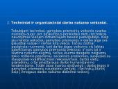 Asmeninio darbo našumo didinimas 12 puslapis