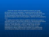 Asmeninio darbo našumo didinimas 17 puslapis