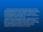 Asmeninio darbo našumo didinimas 18 puslapis