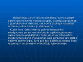 Asmeninio darbo našumo didinimas 20 puslapis