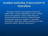 Asmeninio darbo našumo didinimas 9 puslapis