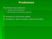 Asortimentas. Jo politika ir tikslai 13 puslapis