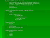 Asortimentas. Jo politika ir tikslai 9 puslapis