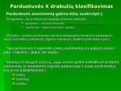 Asortimentas. Jo politika ir tikslai 10 puslapis