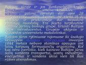 Ateivės rūšys 11 puslapis