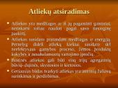 Atliekos ir atliekų atsiradimas 2 puslapis
