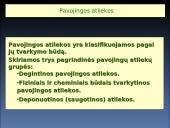 Pavojingos bei nepavojingos atliekos 13 puslapis