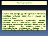 Pavojingos bei nepavojingos atliekos 17 puslapis
