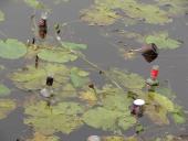 Atliekų rūšiavimas, surinkimas ir perdirbimas Garliavoje 3 puslapis