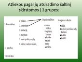 Atliekų rūšiavimas, surinkimas ir perdirbimas Garliavoje 7 puslapis