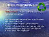 Atliekų tvarkymas 4 puslapis