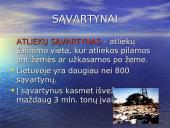 Atliekų tvarkymas 10 puslapis