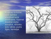 Atmosfera ir jos teršalai 16 puslapis