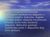 Atmosfera ir jos teršalai 4 puslapis