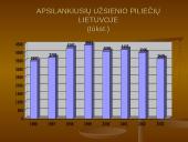 Atvykstamasis ir išvykstamasis turizmas Lietuvoje 3 puslapis