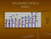 Atvykstamasis ir išvykstamasis turizmas Lietuvoje 6 puslapis