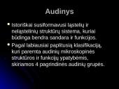 Audinių grupės 2 puslapis