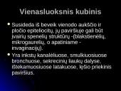 Audinių grupės 12 puslapis