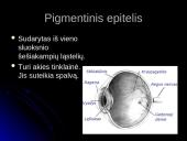 Audinių grupės 15 puslapis