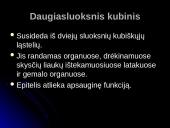 Audinių grupės 19 puslapis