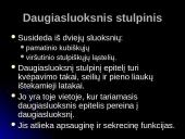 Audinių grupės 20 puslapis