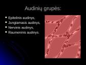 Audinių grupės 3 puslapis