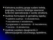 Audinių grupės 4 puslapis