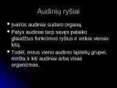 Audinių grupės 6 puslapis