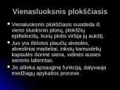 Audinių grupės 9 puslapis