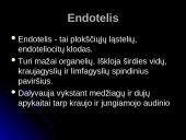 Audinių grupės 10 puslapis