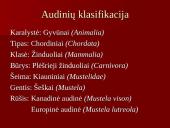 Audinių auginimas ir priežiūra 2 puslapis