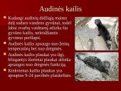 Audinių auginimas ir priežiūra 14 puslapis