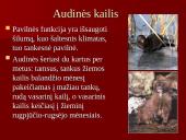 Audinių auginimas ir priežiūra 15 puslapis