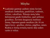 Audinių auginimas ir priežiūra 4 puslapis