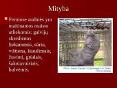 Audinių auginimas ir priežiūra 5 puslapis