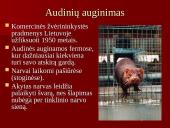 Audinių auginimas ir priežiūra 8 puslapis