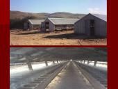 Audinių auginimas ir priežiūra 9 puslapis