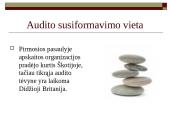 Audito raida pasaulyje ir Lietuvoje 3 puslapis