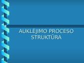 Auklėjimo proceso struktūra