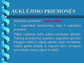 Auklėjimo proceso struktūra 2 puslapis