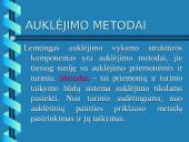 Auklėjimo proceso struktūra 11 puslapis