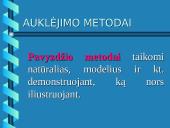 Auklėjimo proceso struktūra 12 puslapis