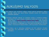 Auklėjimo proceso struktūra 17 puslapis