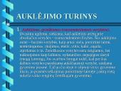 Auklėjimo proceso struktūra 6 puslapis