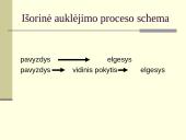 Auklėjimo teorijos pagrindai: hodegetika 5 puslapis
