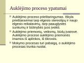 Auklėjimo teorijos pagrindai: hodegetika 10 puslapis