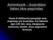 Australijos ekonomikos apžvalga 12 puslapis