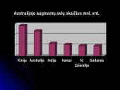 Australijos ekonomikos apžvalga 13 puslapis