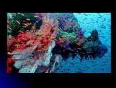 Australijos ekonomikos apžvalga 16 puslapis