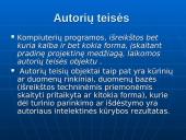 Autorių teisės. Programinės įrangos apsauga